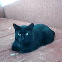 ���� K1 ( ���� ), �����, 50 ��� - ��������� 1 ������ 2016 � ������ �Milakove�