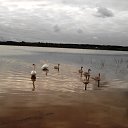  ******, , 53  -  7  2015    