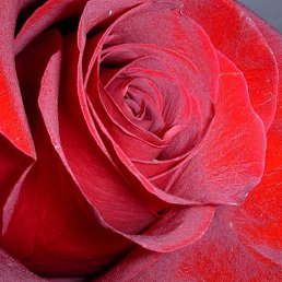 ���� �������, ��������, 58 ��� - ��������� 14 ������� 2015