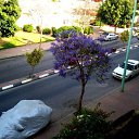 ���� ������, ������ - ��������� 7 ������� 2016 � ������ ���� ����������