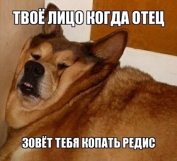 -  - 11  2016  21:49