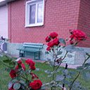 ���� ���������, ������ - ��������� 27 ������� 2015 � ������ �������