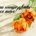 ���� �������, ������, 52 ���� - ��������� 11 ������� 2015 � ������ �������� ��������