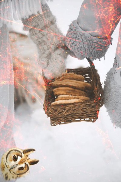 -     ,     .    - 6