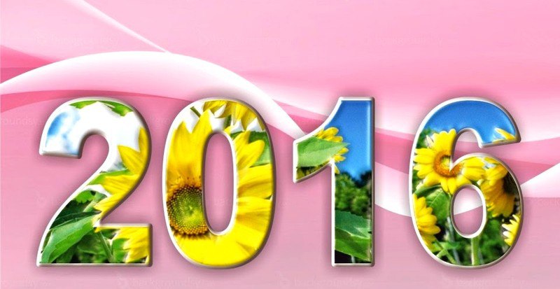  - 23  2015  17:56 - 2