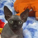 ���� ����, ����� - ��������� 1 ����� 2016 � ������ ������ ��������