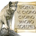 ���� �������, ������-��-����, 61 ��� - ��������� 30 ������ 2015 � ������ ������ ��������