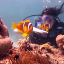 ���� ���� ���� ��� �����, ������, 47 ��� - ��������� 5 ������ 2015 � ������ �2015�