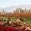  Vaxo, , 63  -  11  2015    