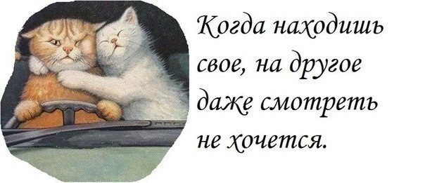    - 13  2015  02:01