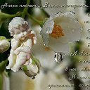 ���� ���������, �����-��������, 54 ���� - ��������� 18 ������� 2015 � ������ ������ ��������