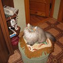 ���� ������. �� �����., ���� - ��������� 5 ������ 2016 � ������ ������ ��������