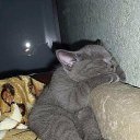 ���� ��������, �������������, 55 ��� - ��������� 24 ������� 2015 � ������ ���� ����������