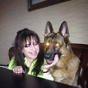 ���� ��������, �����-���������, 54 ���� - ��������� 1 ������� 2016 � ������ ���� ����������