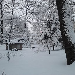  Vlad,  -  10  2016