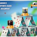  , , 49  -  4  2016    -