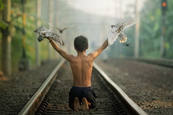 Наши сомнения — это наши предатели. Они заставляют нас терять то, что мы, возможно, могли бы ...