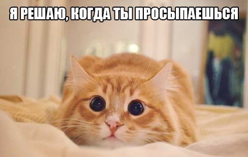       - 1  2015  10:31