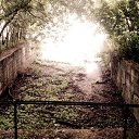 ���� ����, ������, 38 ��� - ��������� 11 ������ 2016 � ������ ������� �����