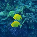  , , 59  -  16  2015    Ż