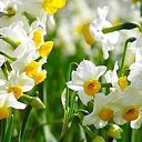 ���� ����, ������, 44 ���� - ��������� 2 ������� 2015 � ������ ���� ����������