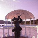 ���� �����, ���������� - ��������� 8 ������� 2015 � ������ ���� ����������