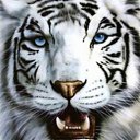 ���� ������, ������������, 32 ���� - ��������� 10 ������ 2016