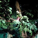 ���� �����, �����-��������� - ��������� 28 ������� 2016 � ������ ������ ��������