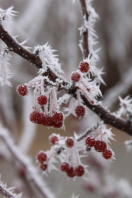   - 19  2015  10:04 - 6