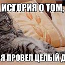 ���� ������, ����, 51 ��� - ��������� 5 ������� 2016 � ������ �������