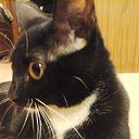 ���� ������, �����������, 55 ��� - ��������� 4 ������� 2015 � ������ ������ ��������