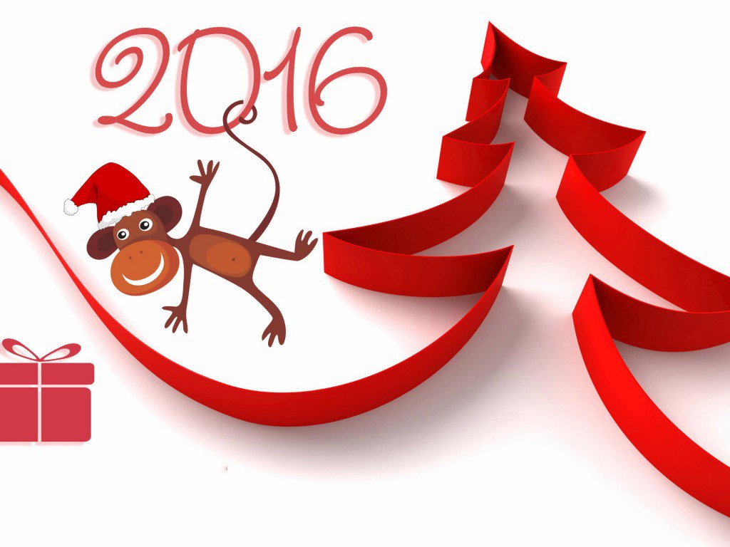  2016  !  - !   - ! !    -    ... - 21