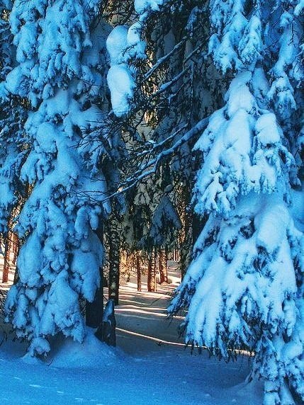  https://fotostrana.ru/away?to=/sl/cfp2 - 2