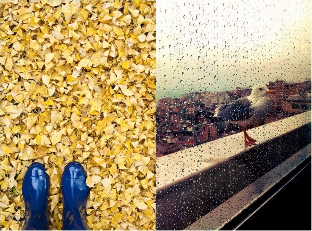 Что может быть романтичнее дождя?