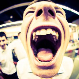 ���� ����� �����, �����-���������, 36 ��� - ��������� 26 �������� 2015