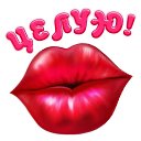 ���� ������, ������ ����� - ��������� 23 ������ 2015 � ������ �������� ��������