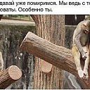 ���� ��������, ������������, 49 ��� - ��������� 12 ������ 2016 � ������ ���� ����������