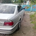 ���� ���������, ���������, 44 ���� - ��������� 15 ������� 2015 � ������ ���� ����������