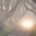 ��������� ������ �� ������� ���� ����������