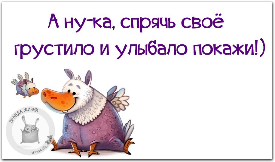   - 3  2016  16:47
