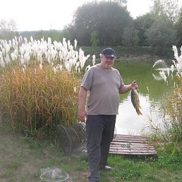 Dmitri, �������, 55 ���