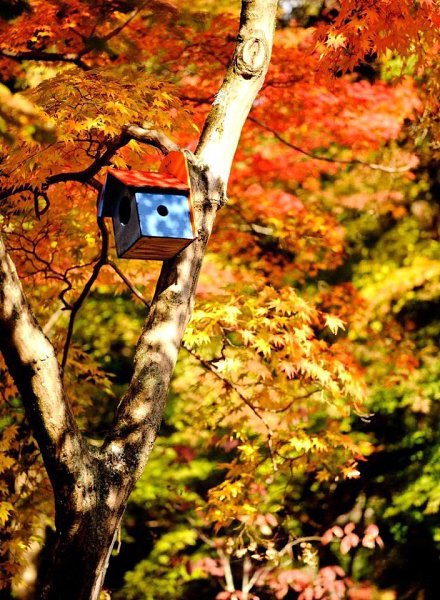 ||  ... || - 24  2015  21:27 - 4