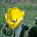 ���� ������, ������, 63 ���� - ��������� 10 ������ 2015 � ������ ���� ����������