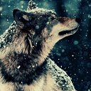  #/Predator/#,  -  24  2015    