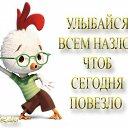 ,  -  12  2015   .......