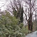  , , 60  -  29  2016     ,23.01.16.