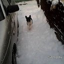 ���� �����, �����, 61 ��� - ��������� 5 ������� 2016 � ������ ���� ����������