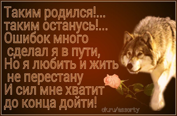   - 13  2016  15:04