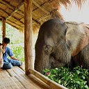 ���� Aleks, ����� ������� - ��������� 13 ������� 2015 � ������ �Elephants�