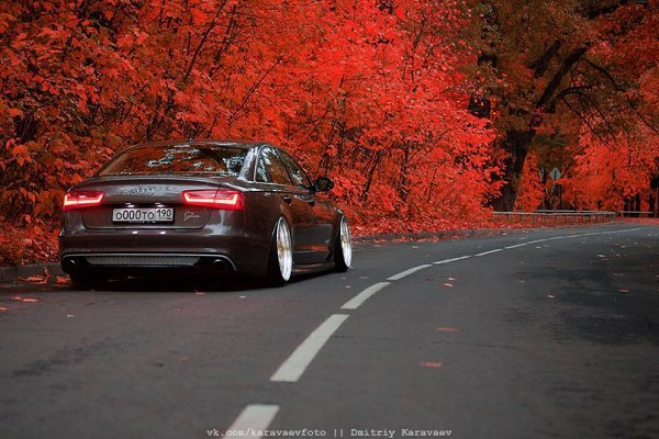 Audi A6. - 5